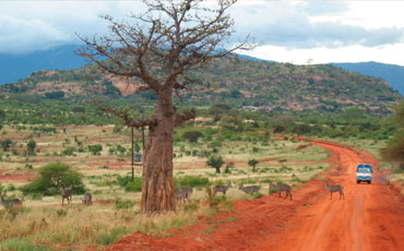 tsavo national park