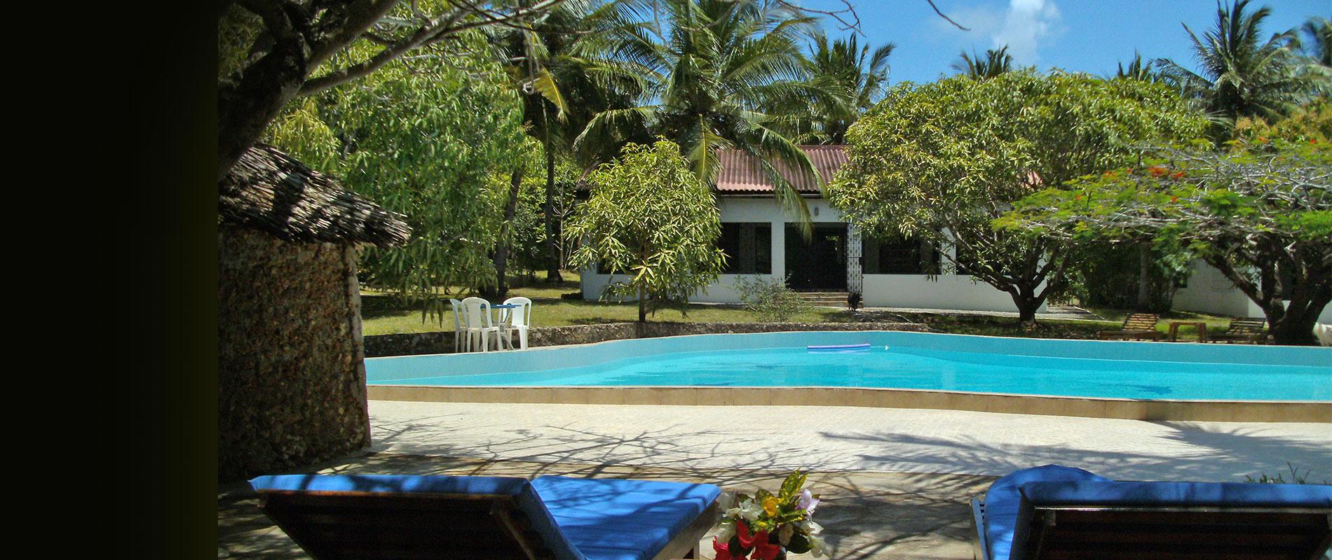 external view with pool